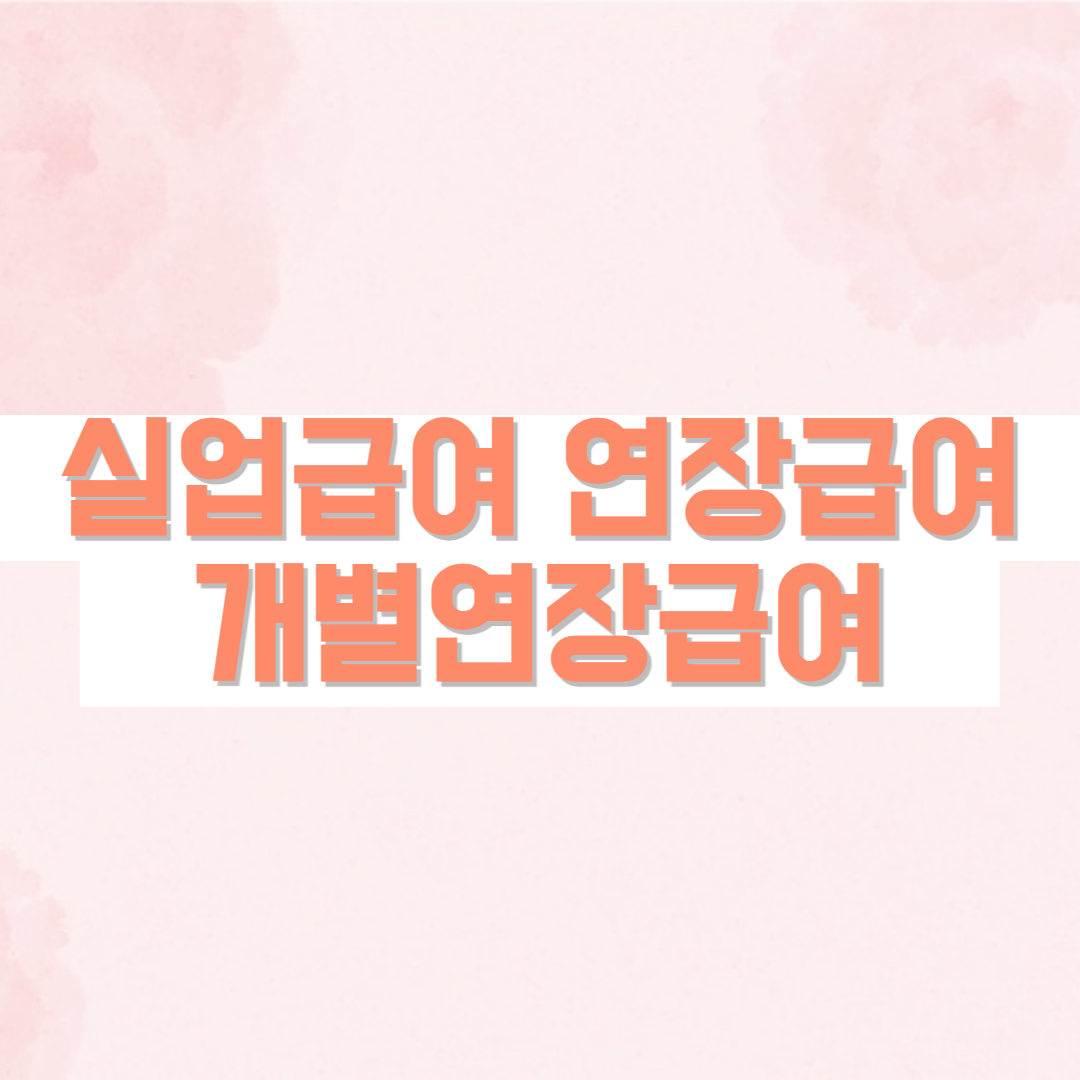 실업급여 연장급여 개별연장급여