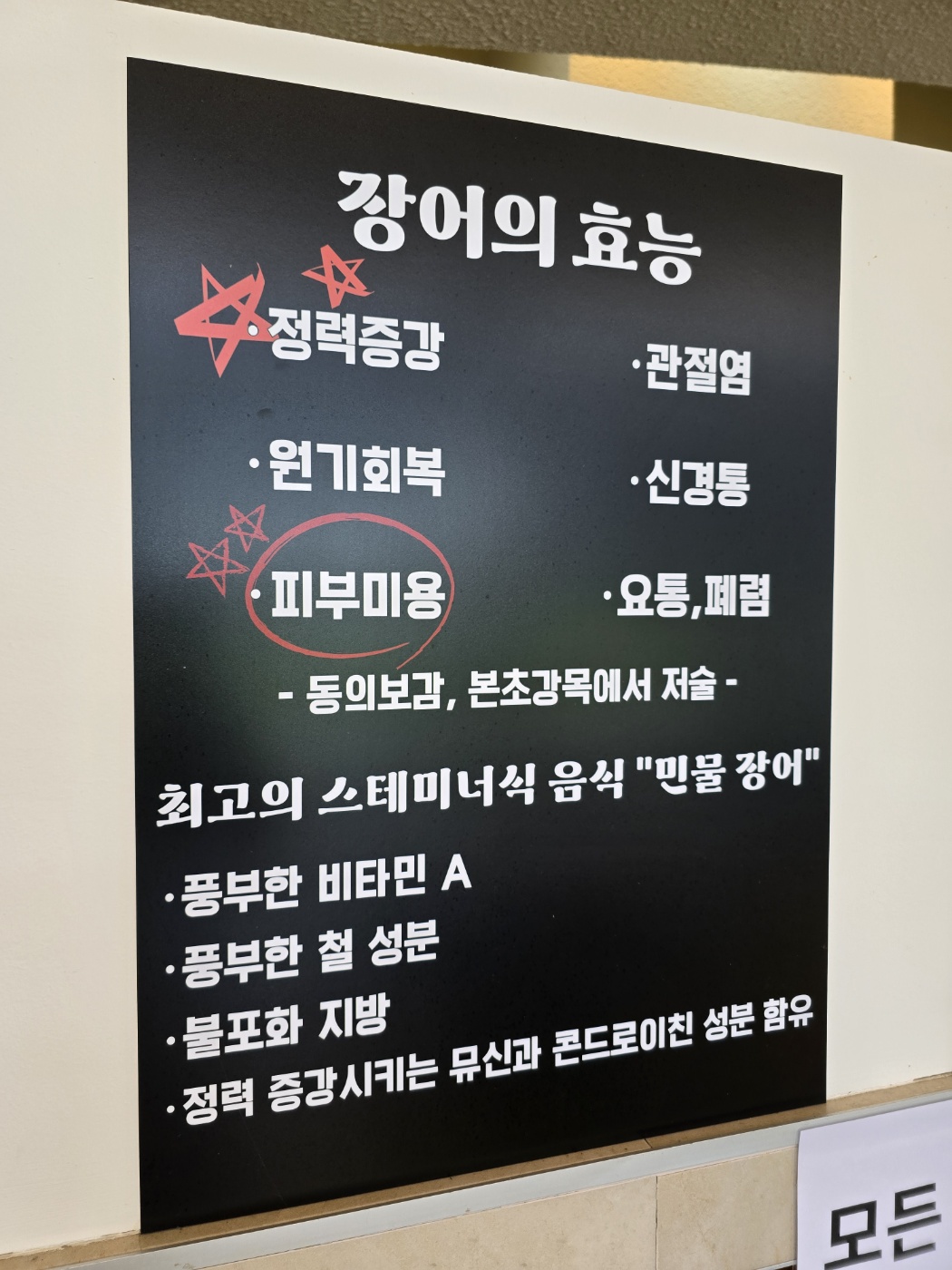 장어의 효능 설명