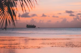 사이판 입국신청서