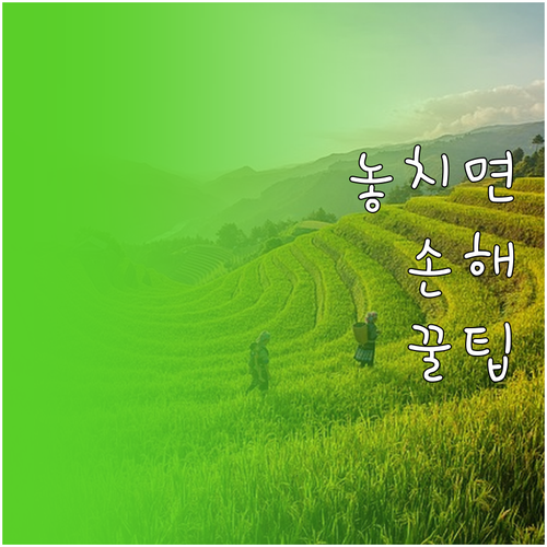 정부 지원 폐차 보조금 자격 금액 신..
