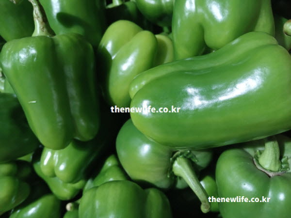 피망 효능을 보여주듯 단면을 잘랐을 때 물기가 맺혀 있는 피망의 실사진