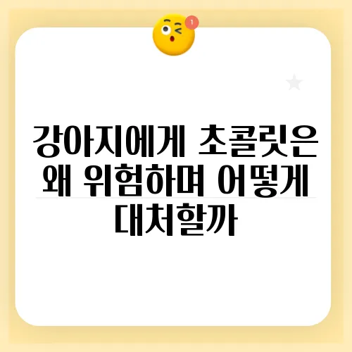 강아지에게 초콜릿은 왜 위험하며 어떻게 대처할까