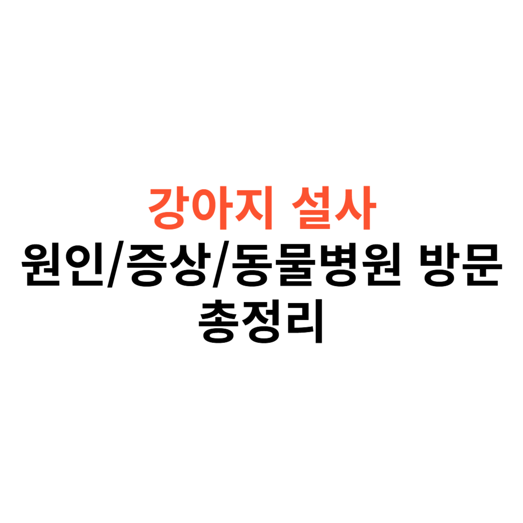 강아지 설사