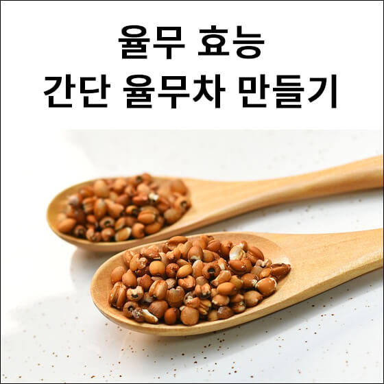 볶은 율무를 담은 숟가락 2개