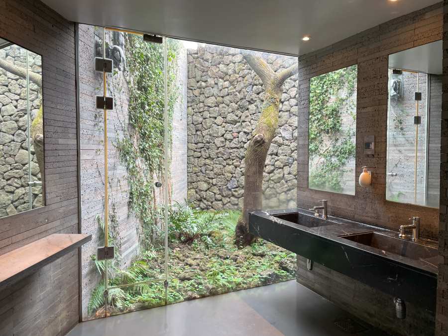 제주-이니스프리-후기-화장실