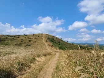 제주 오름 트레킹 코스 초보 난이도 뷰맛집 주차 정보 정리_6
