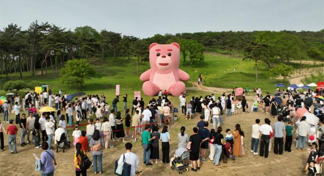 2025 화순 봄꽃 축제