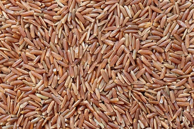 항산화 보호 카무트 쌀 효능