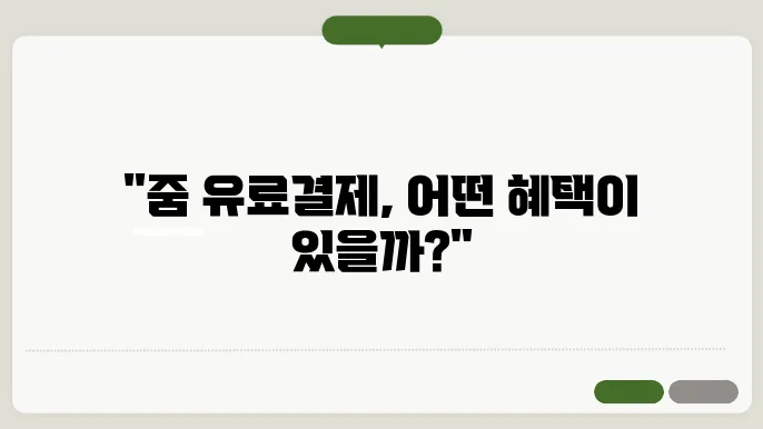 줌 유료결제
