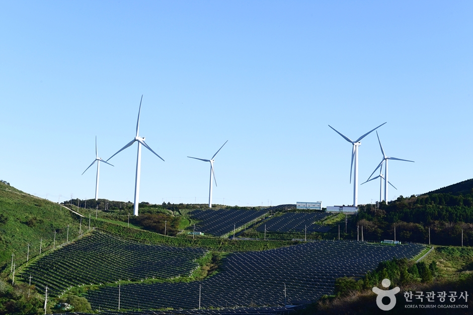 영암 가볼만한곳 베스트10