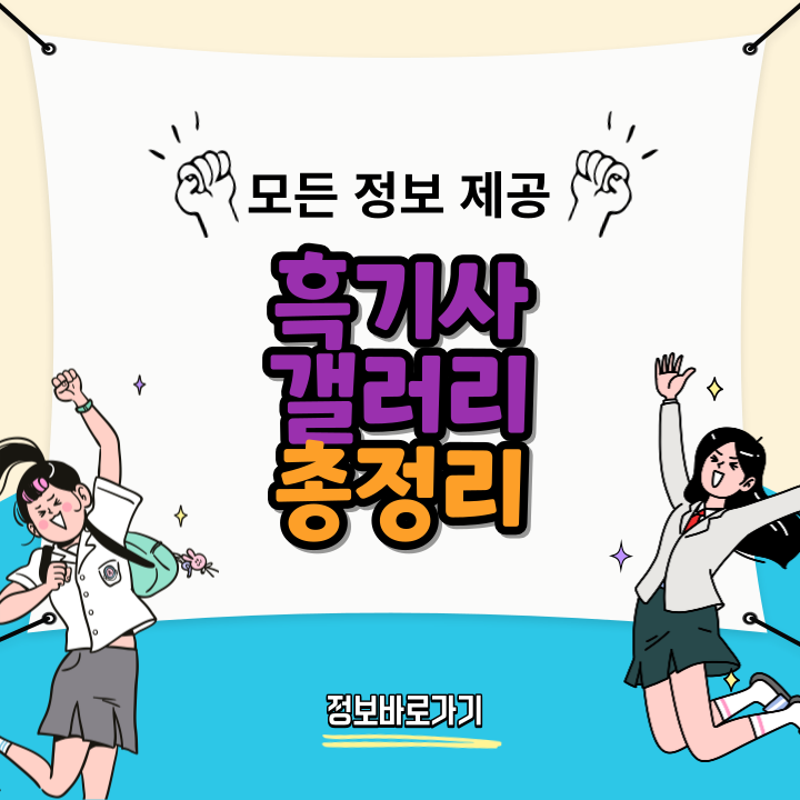흑기사-갤러리