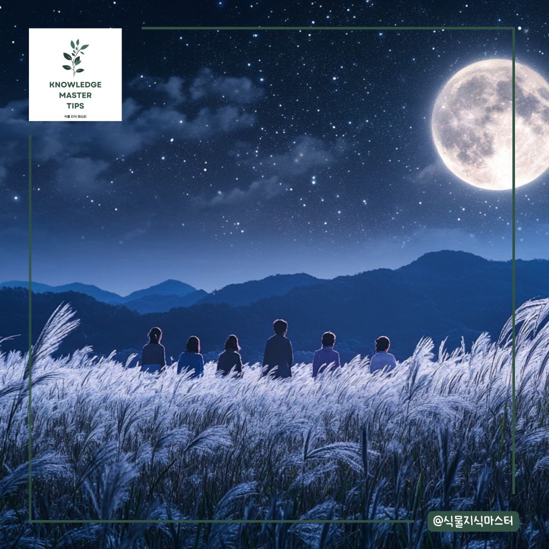 좋은 기운을 불러온다는 억새