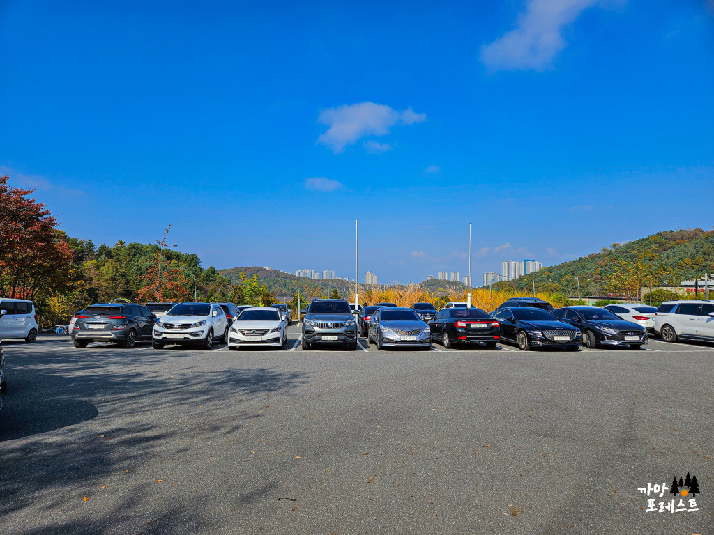춘천 산속에 닭갈비 주차장
