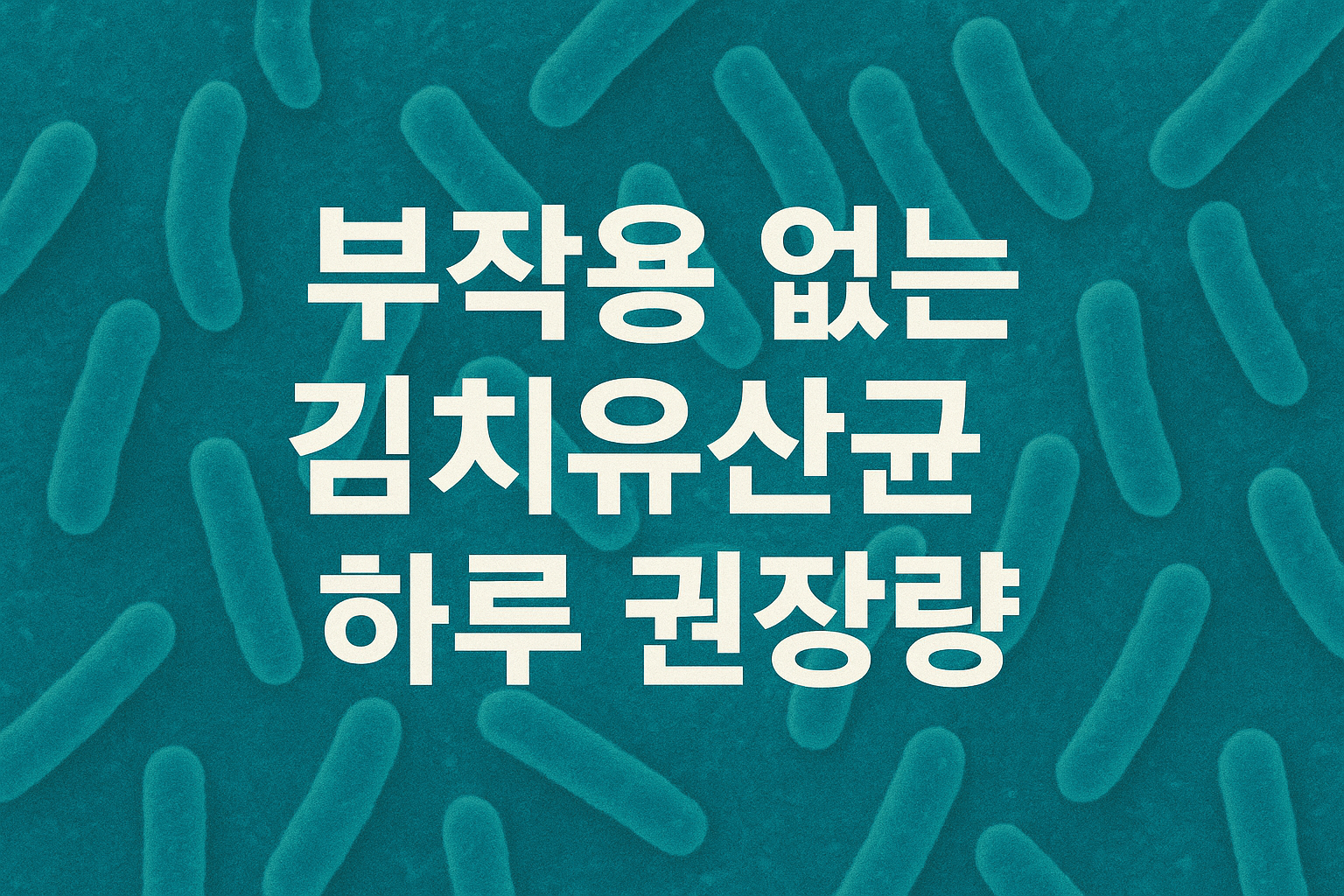 전통발효식품 김치 유산균 하루 권장 섭취량