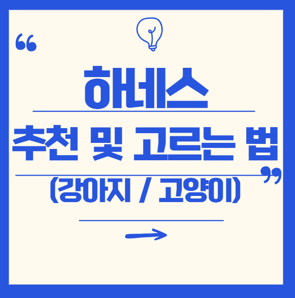 려동물 하네스 추천 및 고르는 법