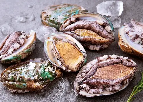 고수 대 고수 원기회복 전복 파는 곳 전국 택배 온라인 주문 평창 추천