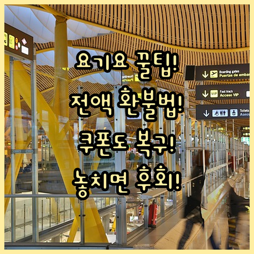 요기요 내 돈 지키기 주문 취소 전액..