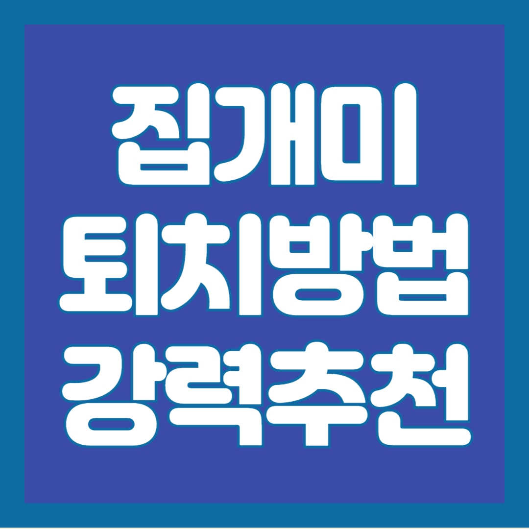 집-개미-퇴치법