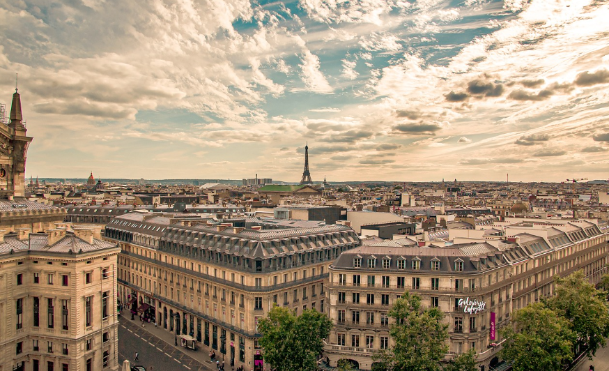 글로벌 비건 푸드 여행: 프랑스 🇫🇷
