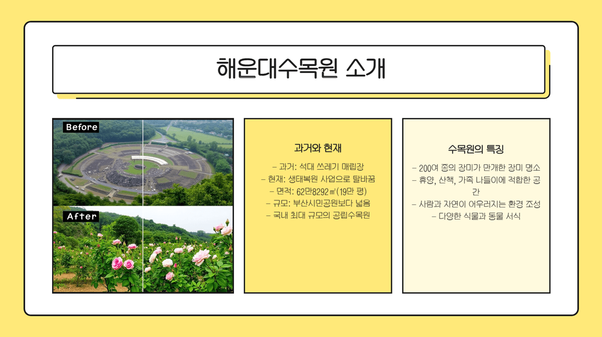 해운대수목원 장미 절정기