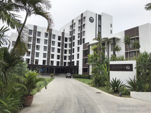 필리핀 세부 어학연수