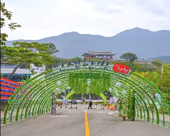 산청 한방약초축제_6