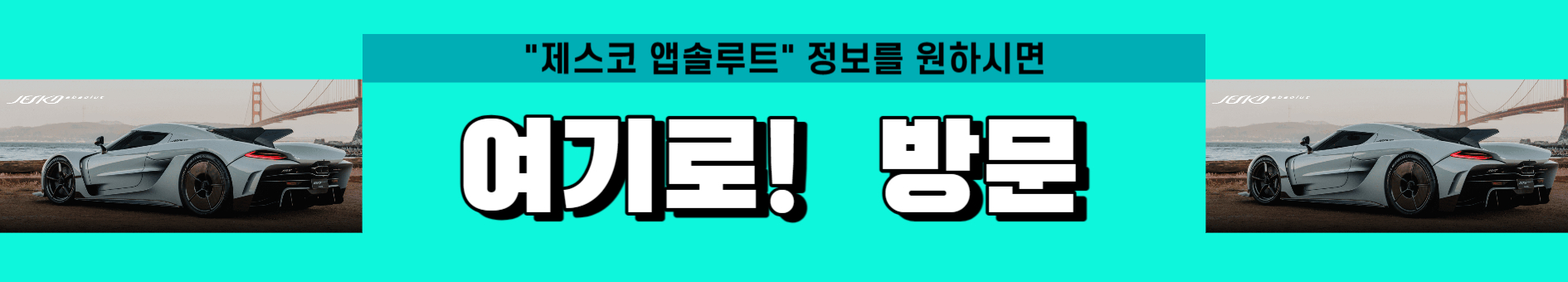 제스코 앱솔루트