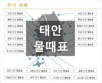 서해안 물때표 2025 조수간만 갯벌체험 낚시 일정 정리_6