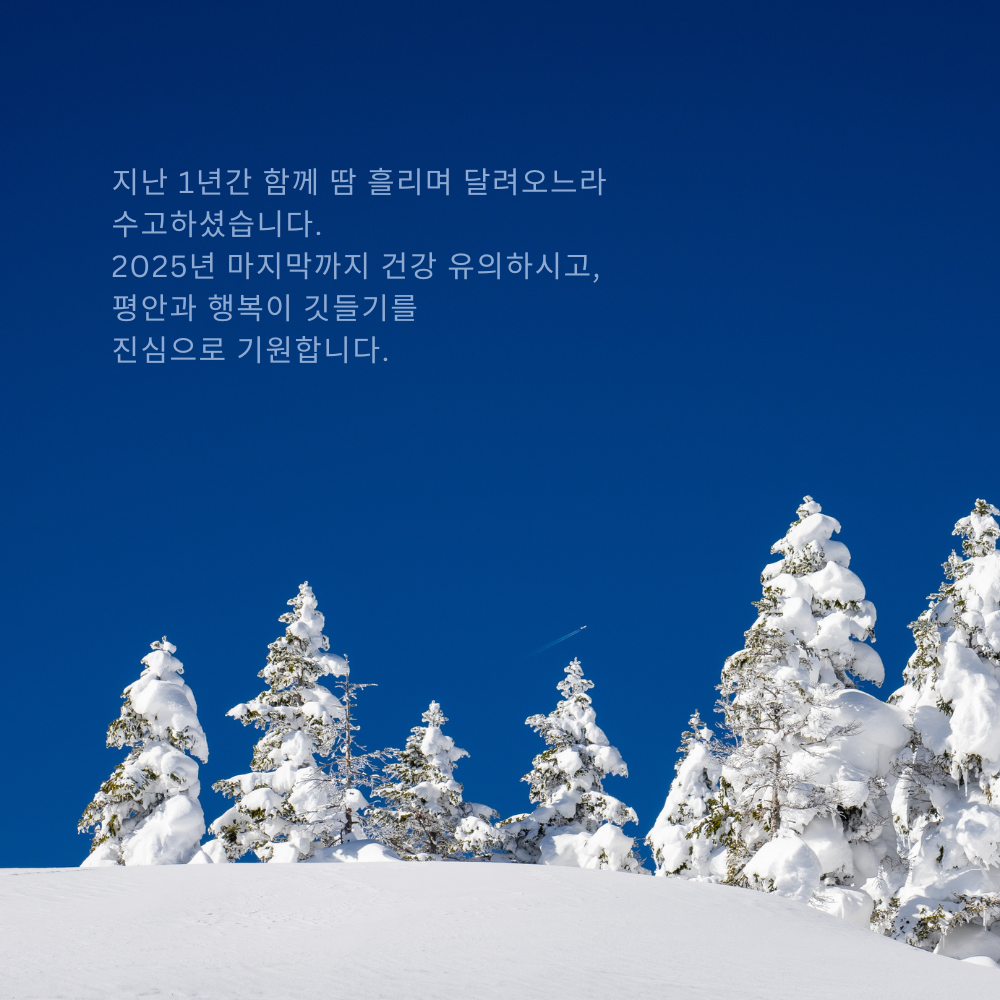 2025년 12월 인사말 문구 이미지 모음집