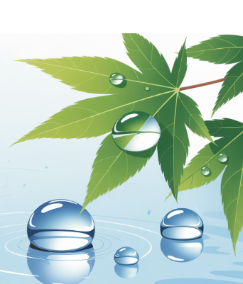 옥수수수염차의 효능