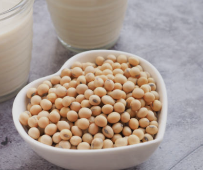 작두콩차의 효능 부작용 끓이는법 확인