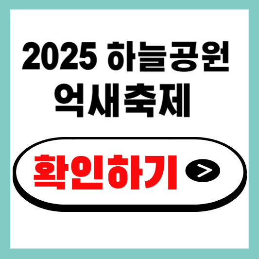 2025 하늘공원 억새축제