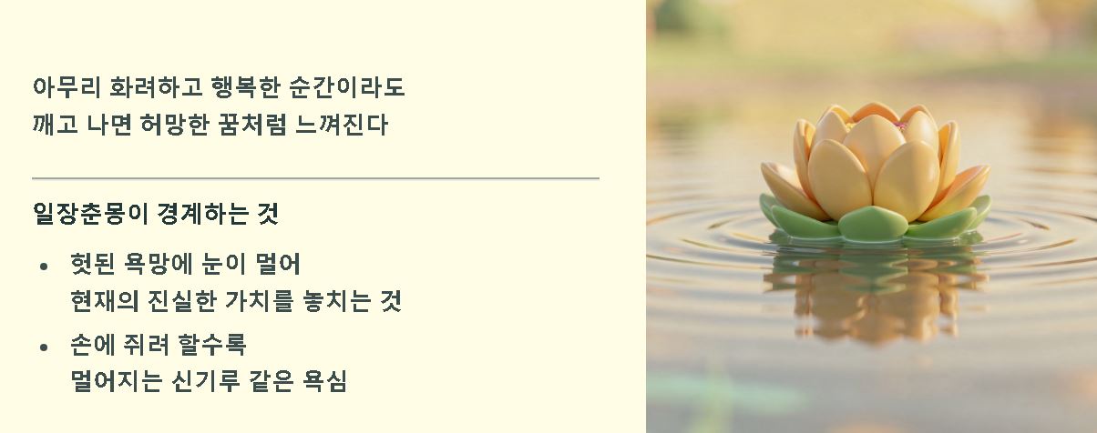 인생무상 뜻