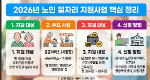2026년 노인 일자리 지원사업 알아보기