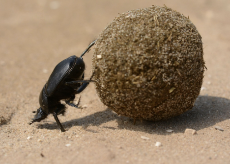 대장암 초기증상 11