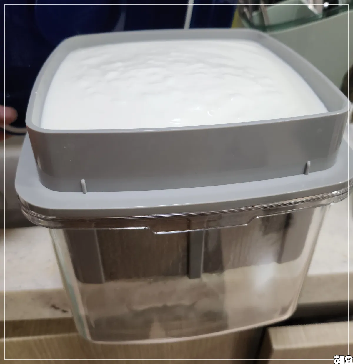 유청분리기에-요거트를-부운-모습