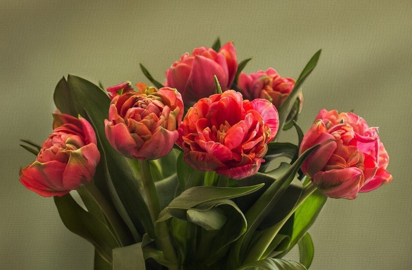 절화 묶는 기법