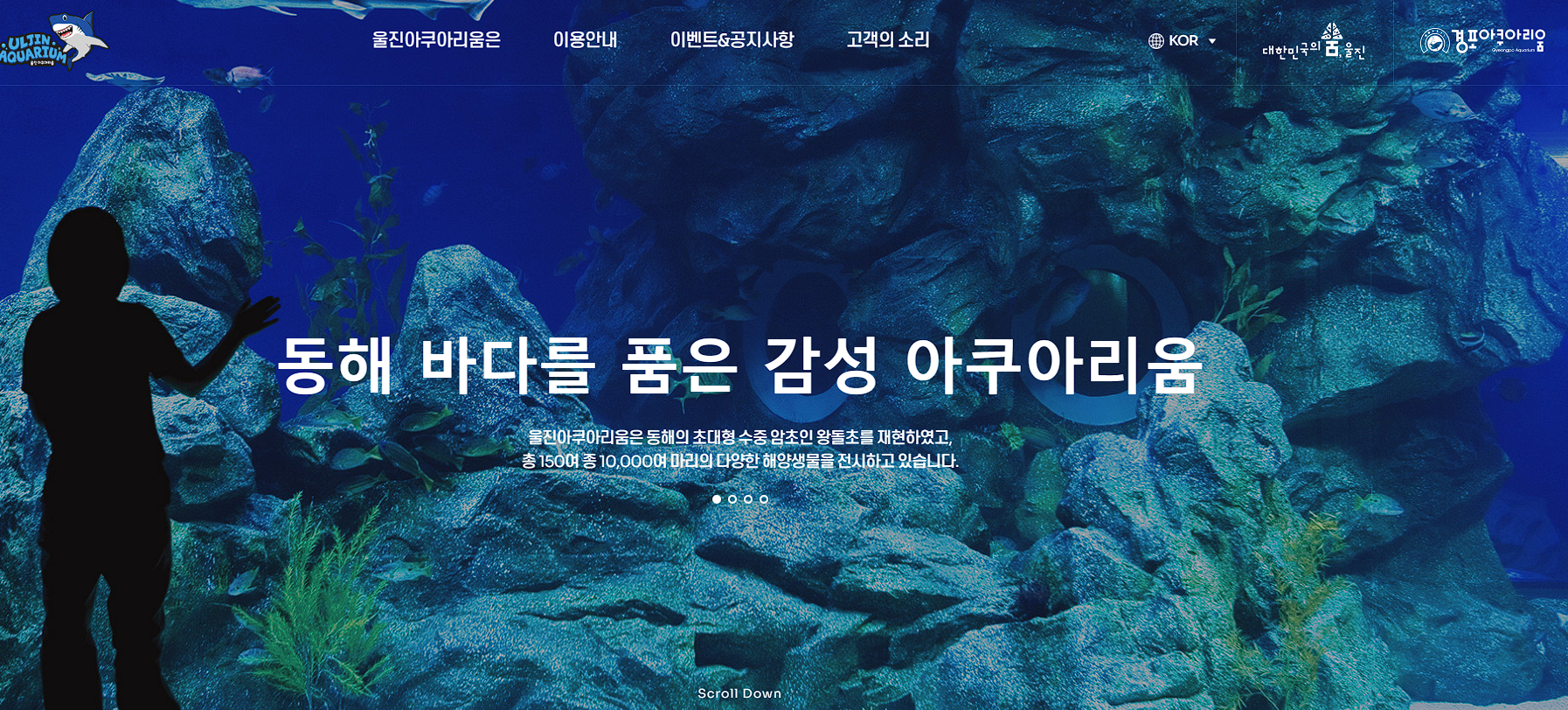 울진 가볼만한 곳 맛집 여행정보 울진 아쿠아리움