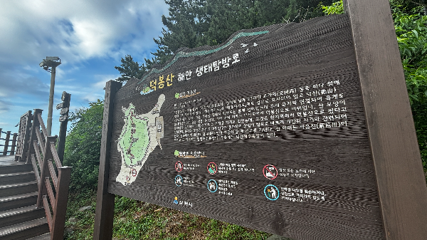 삼척 덕봉산 해안 생태탐방로