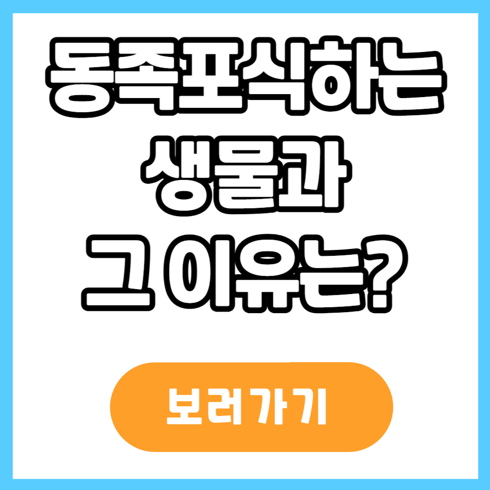 동족포식을 하는 생물