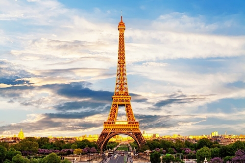 나비고 교통카드