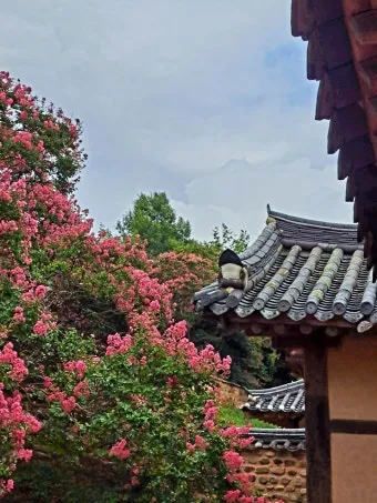 대구 가볼만한곳 베스트10 근대골목 수성못 노포맛집 여유 코스_25