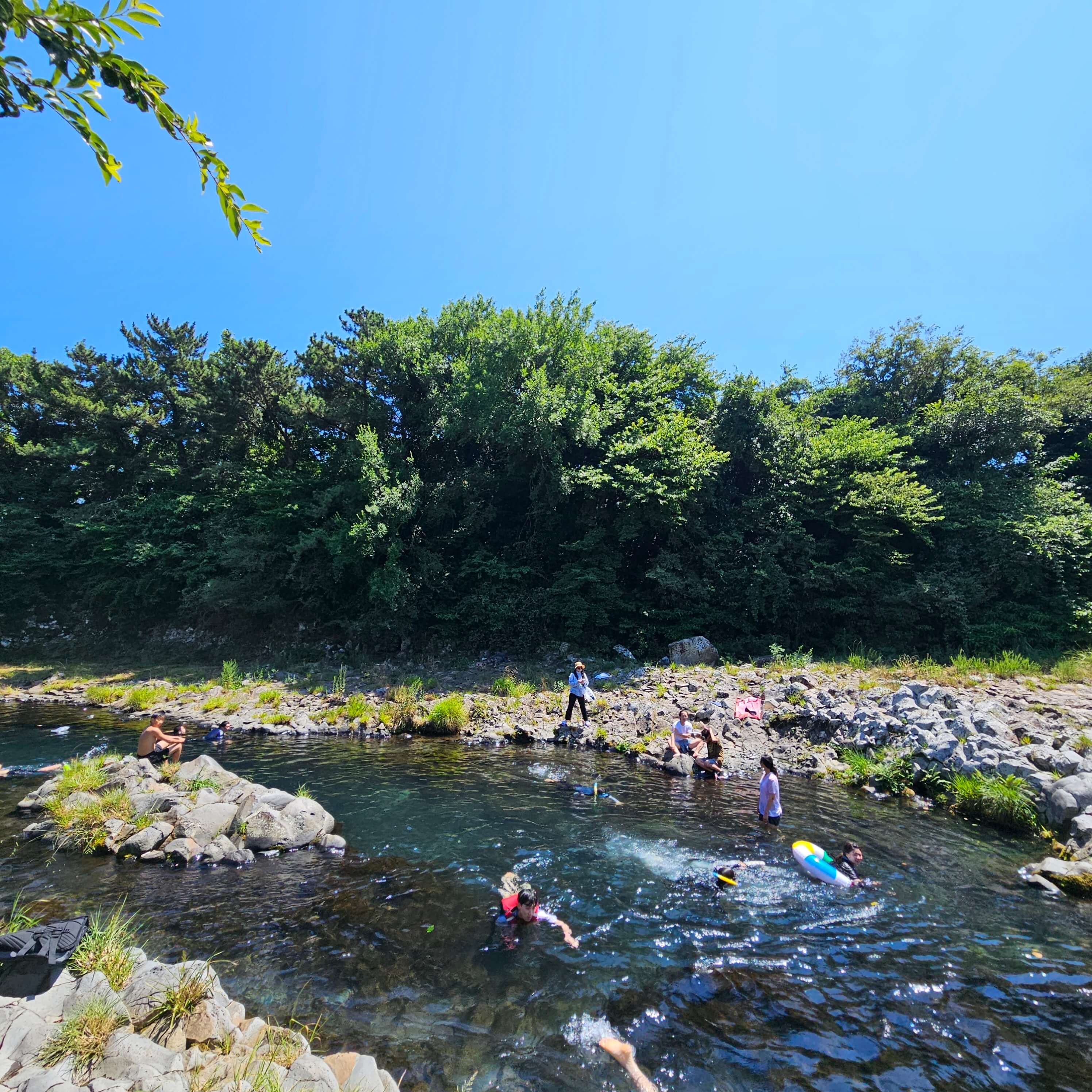 제주에서 바다만? 강정천 스노클링에서 찾은 색다른 즐거움