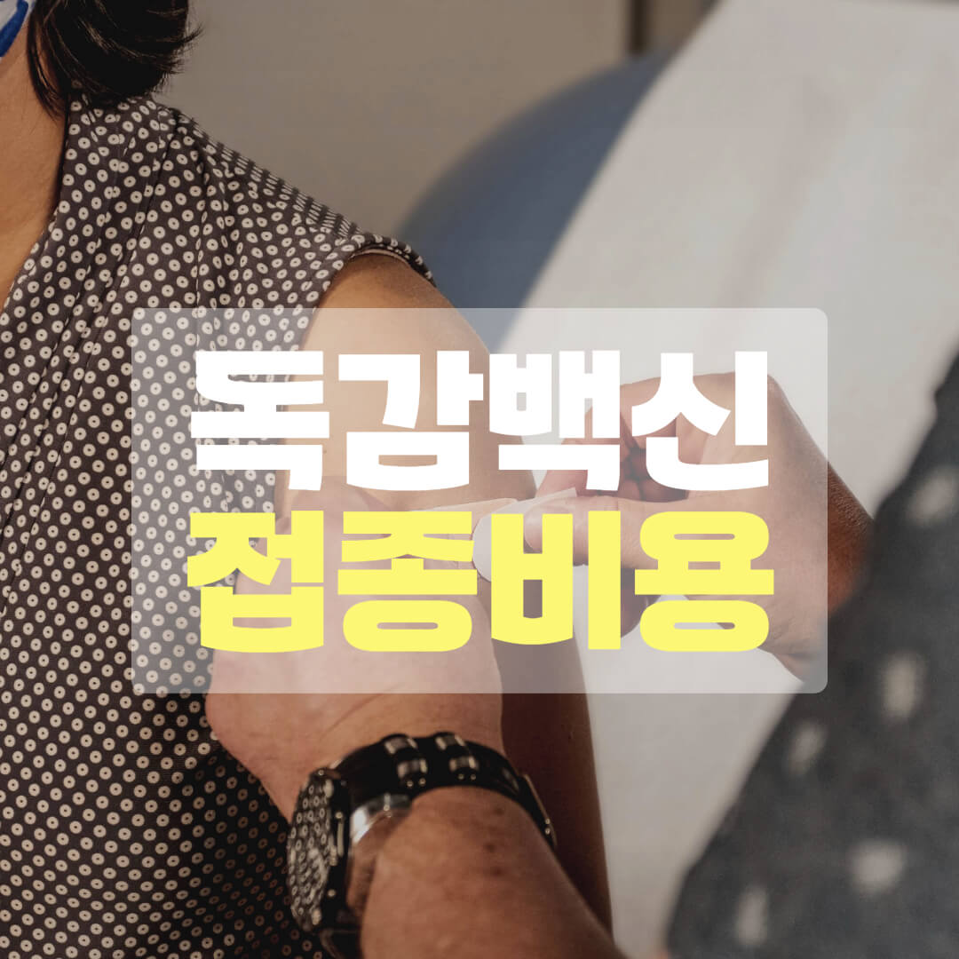 독감예방접종 비용