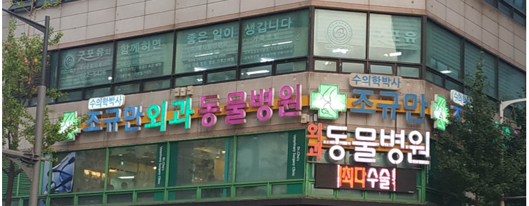 부천 원미구 동물병원