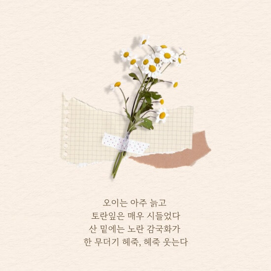 ‘시월에’ 시 구절 들어간 이미지