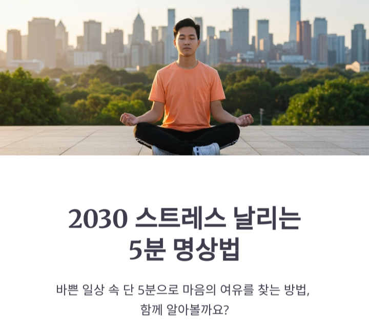 2030세대를 위한 스트레스 날리는 5분 명상법