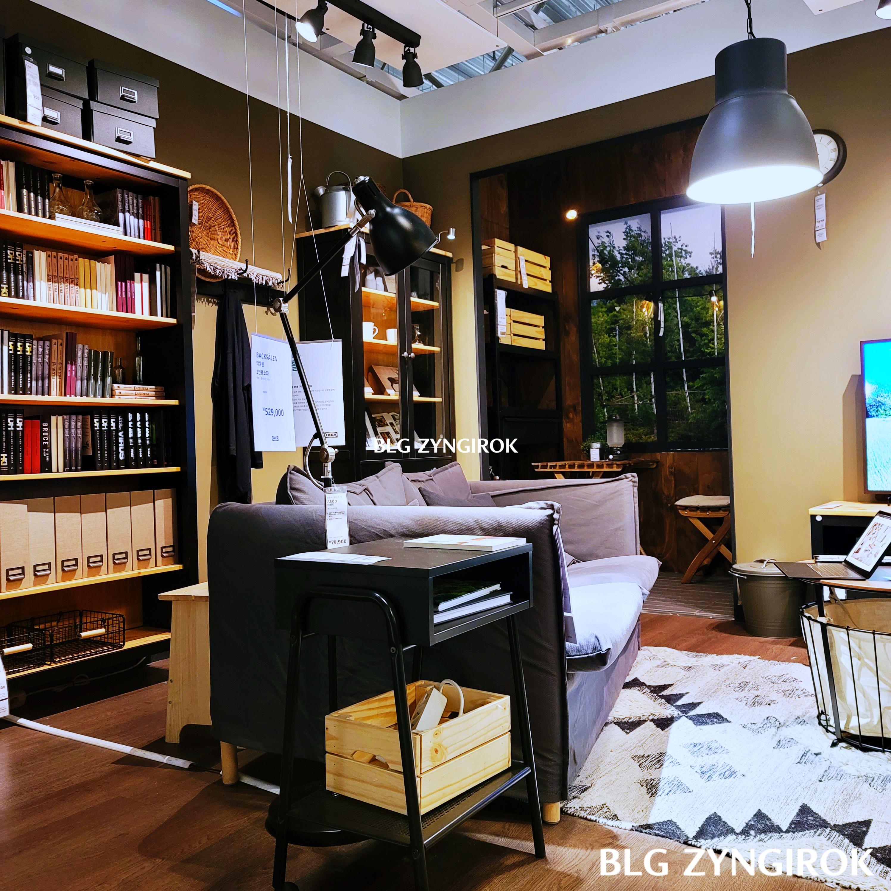 이케아-가구들을-이용해-만든-거실모습이다.