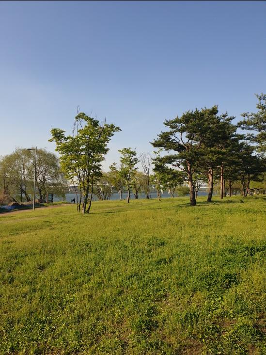 Amsa Ecological Park spring landscape – 봄날 암사생태공원의 전경