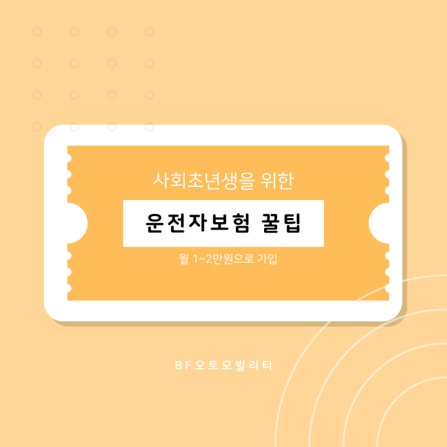 사회초년생을 위한 운전자보험 가입 꿀팁 4가지
